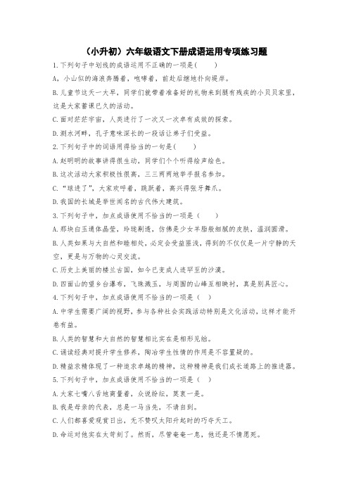 (小升初)六年级语文下册成语运用专项练习题