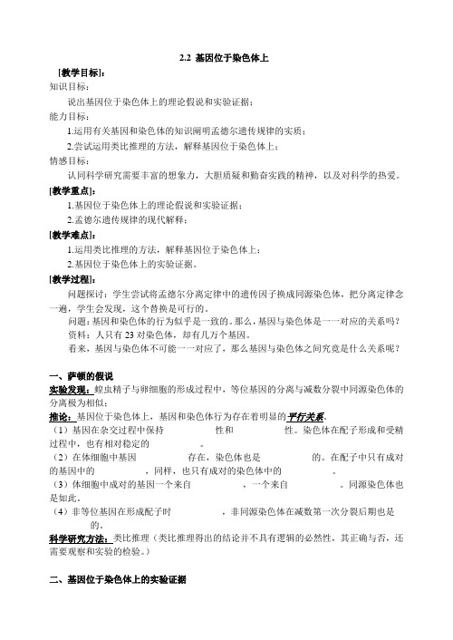 基因位于染色体上导学案-基因位于染色体上