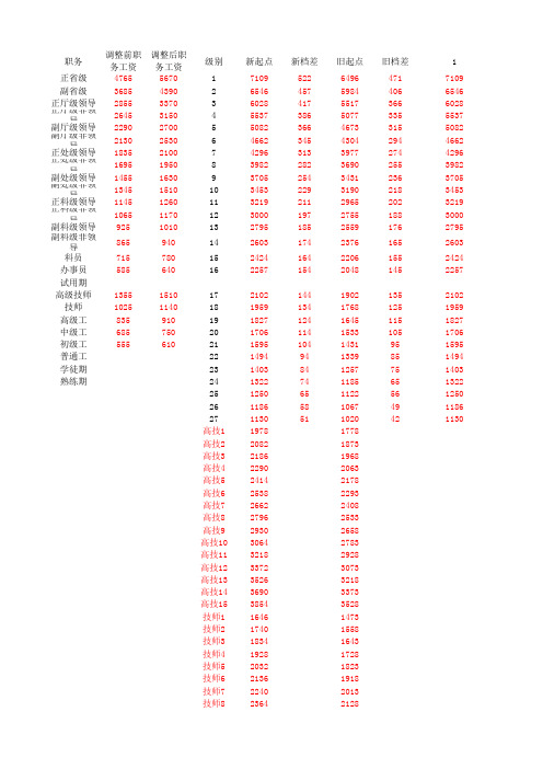 2019年调标后工资标准表