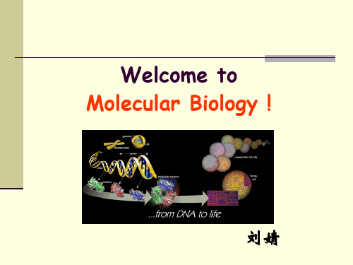 现代分子生物学第一章绪论