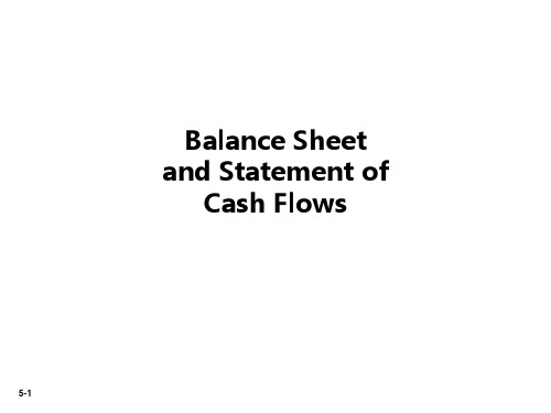 Balance Sheet and Statement of Cash FlowsPPT课件