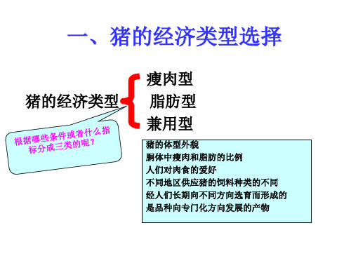 猪经济类型及品种