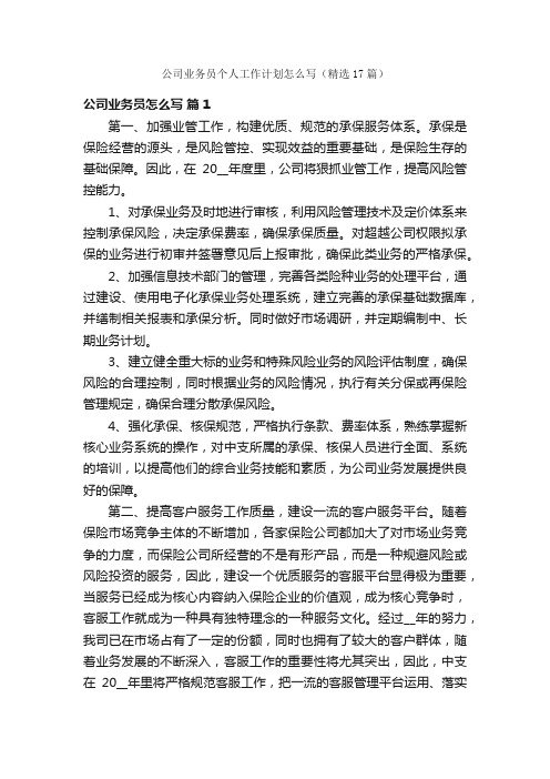 公司业务员个人工作计划怎么写（精选17篇）