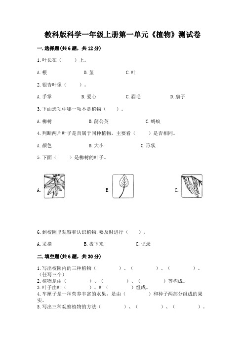 教科版科学一年级上册第一单元《植物》测试卷及参考答案【实用】