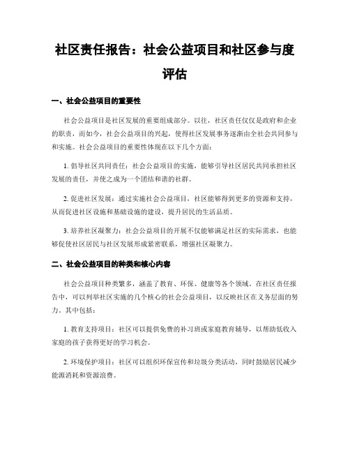 社区责任报告：社会公益项目和社区参与度评估