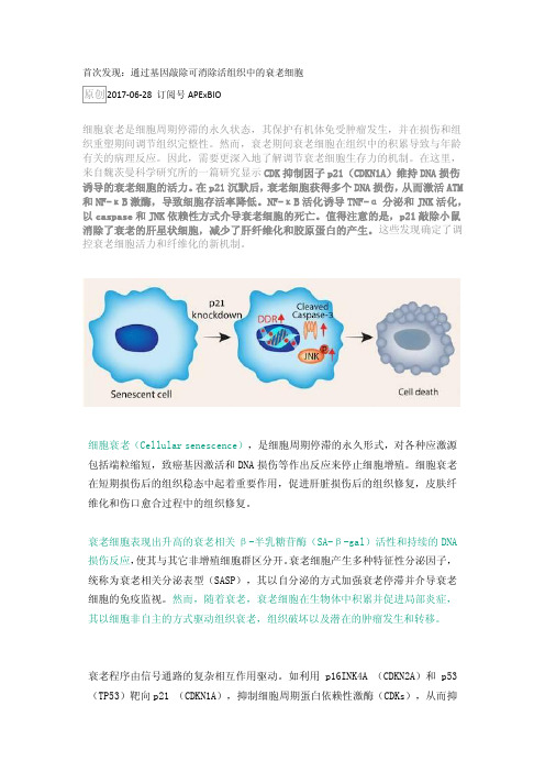 首次发现：通过基因敲除可消除活组织中的衰老细胞