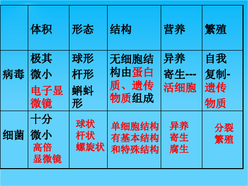 八年级生物上册 5.4.3 真菌课件 新人教版