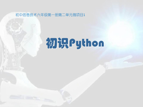 初中信息技术_初识Python教学课件设计