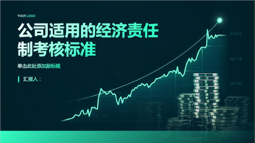 公司适用的经济责任制考核标准