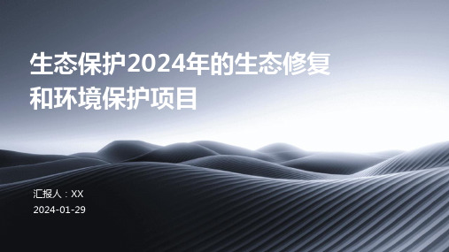 生态保护2024年的生态修复和环境保护项目