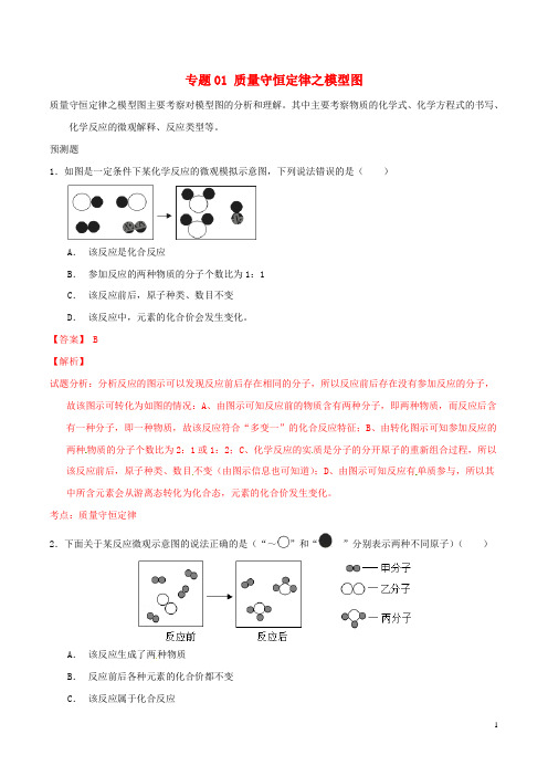 中考化学 专题01 质量守恒定律之模型图(含解析)