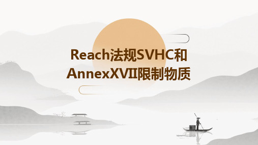 REACH法规SVHC和AnnexXVII限制物质