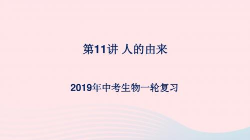 人教通用2019年中考生物一轮复习第11讲人的由来课件2019021942