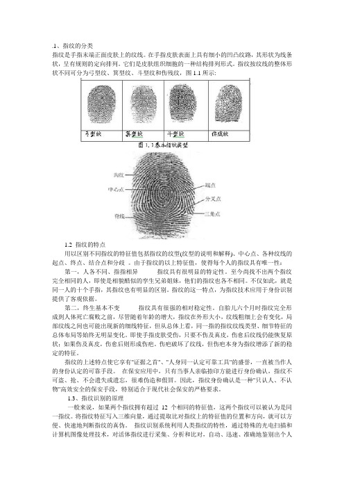 指纹种类