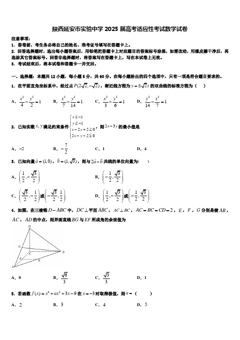 陕西延安市实验中学2025届高考适应性考试数学试卷含解析