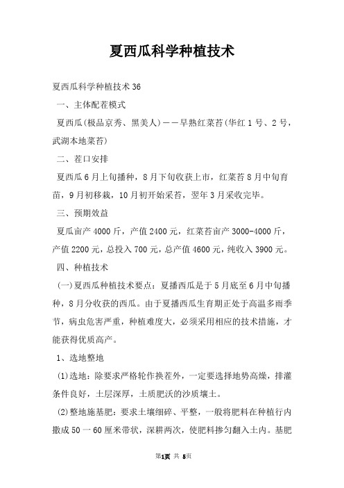 夏西瓜科学种植技术
