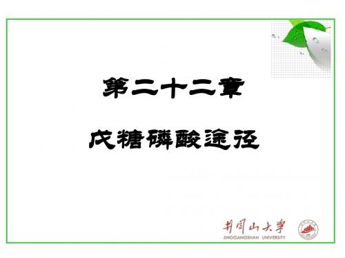 2019-第二十二章戊糖磷酸途径-文档资料-文档资料