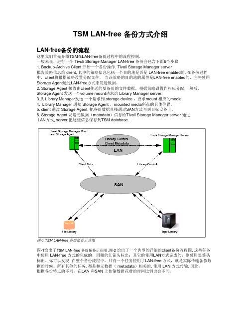 TSM LAN-free 备份方式介绍