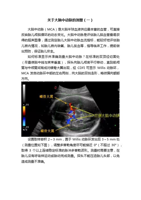 关于大脑中动脉的测量（一）