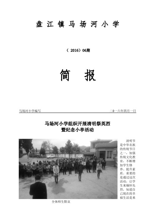 马场河小学开展祭英烈暨纪念赵小亭活动简报