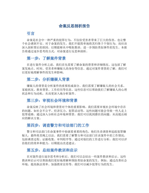 命案反思剖析报告