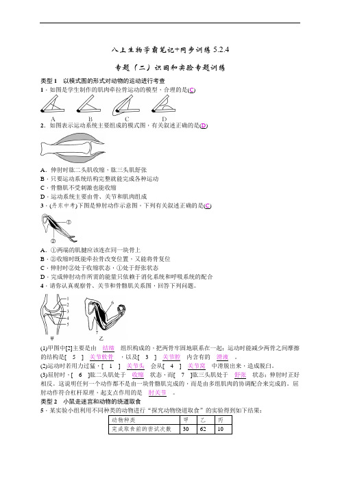 八上生物学霸笔记+同步训练5.2.4专题(二)识图和实验专题训练 答案版