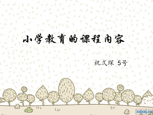 小学教育的课程内容
