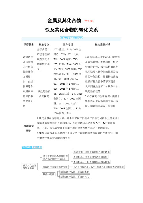 高中化学高考精品备课教案：铁及其化合物的转化关系