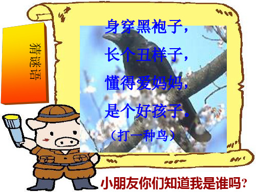 一下《乌鸦喝水》ppt课件完美版
