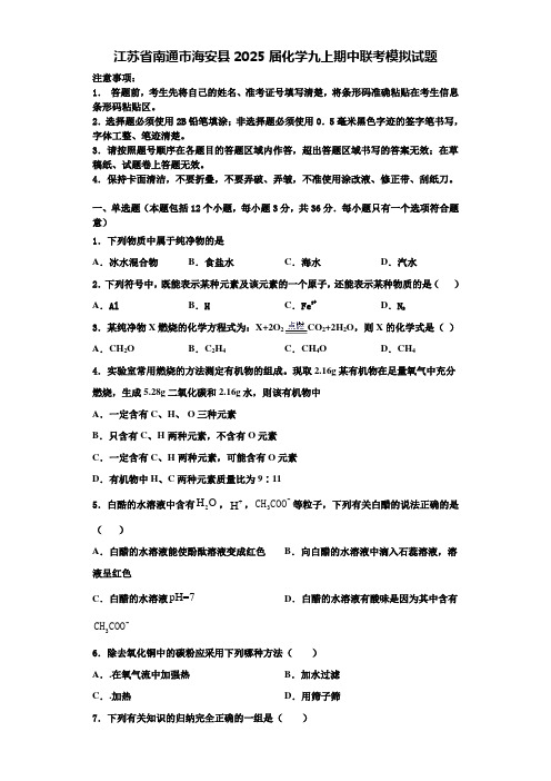 江苏省南通市海安县2025届化学九上期中联考模拟试题含解析