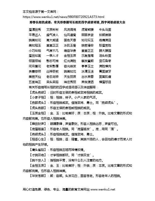 形容长相的成语,有关形容描写长相的四字成语词语_四字词语成语大全