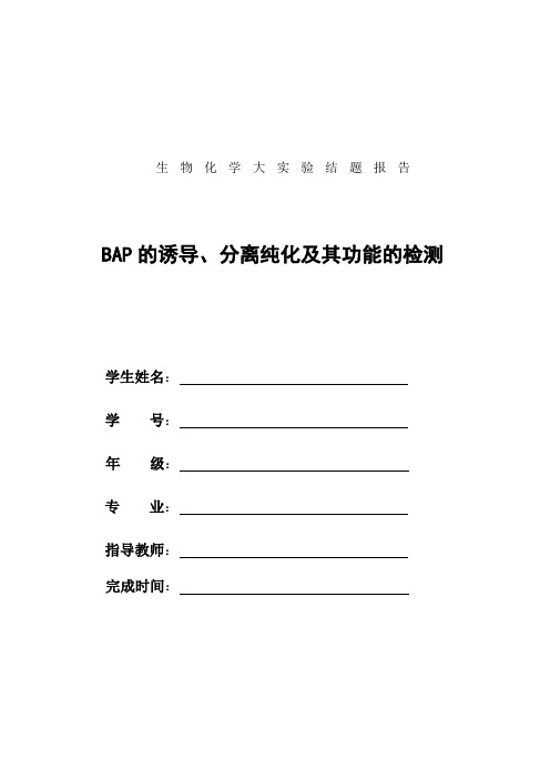 BAP的诱导、分离纯化及其功能的检测