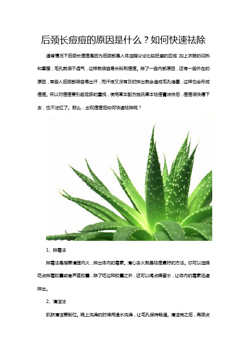 后颈长痘痘的原因是什么？如何快速祛除