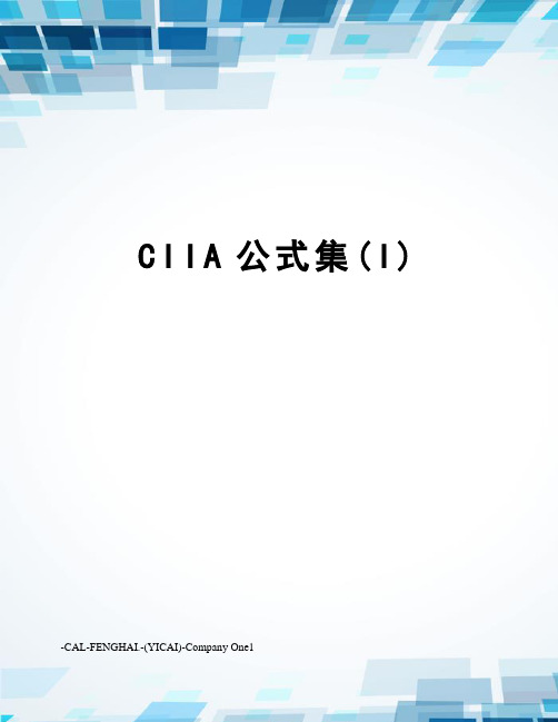 CIIA公式集(I)