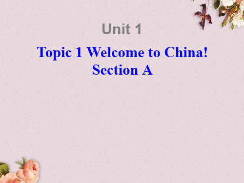 【优课】仁爱初中英语七上《Unit 1Topic 1 Welcome to China!A》PPT课件 (2)