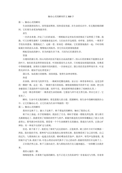 触动心灵的瞬间作文500字优秀作文