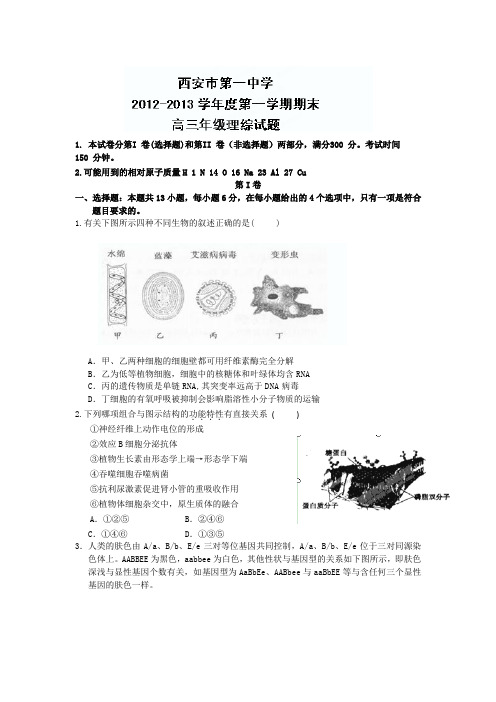 陕西省西安市第一中学2013届高三上学期期末考试理科综合试题