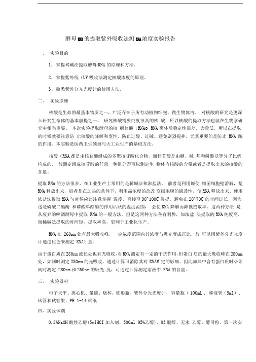 酵母RNA的提取实验报告