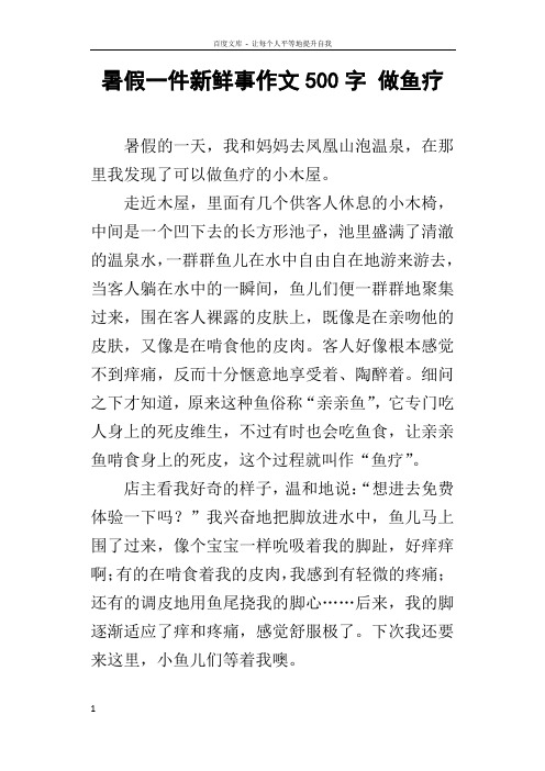 暑假一件新鲜事作文500字做鱼疗