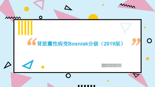 肾脏囊性病变的影像表现及Bosniak分级