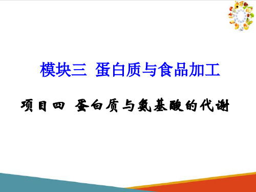 蛋白质—蛋白质与氨基酸的代谢(食品生物化学课件)