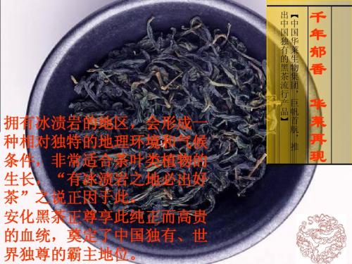 (三)华莱黑茶晕诶——事业说明——最新版