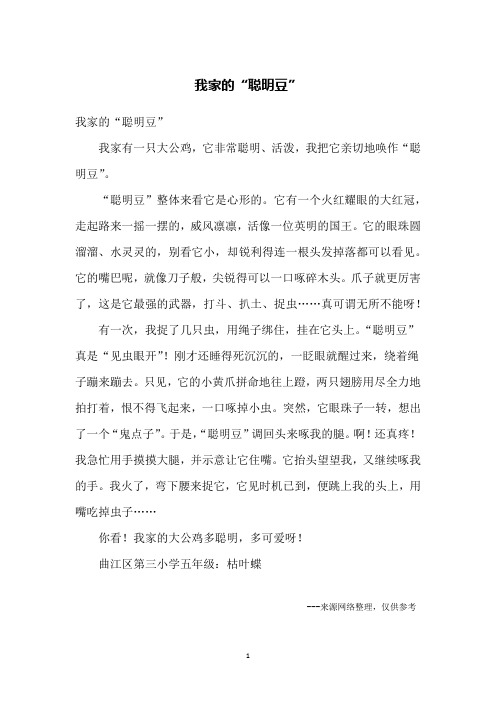 我家的“聪明豆”