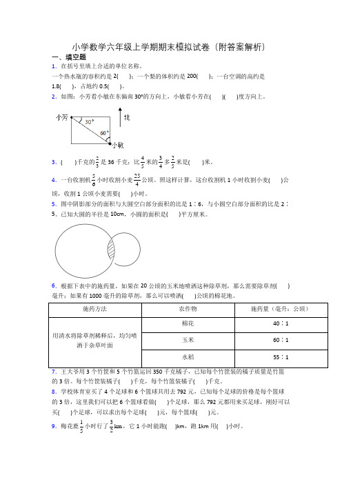 小学数学六年级上学期期末模拟试卷(附答案解析)