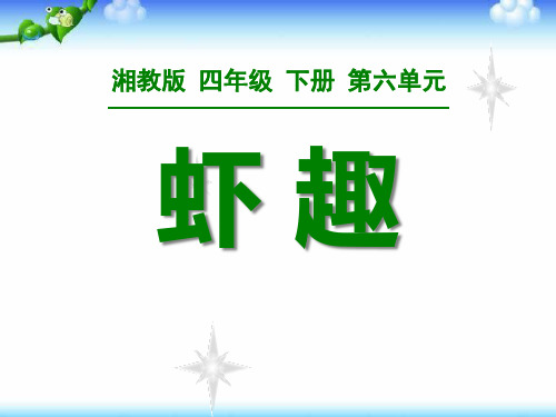 《虾趣》PPT课件四