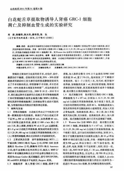 白花蛇舌草提取物诱导人肾癌GRC-1细胞凋亡及抑制血管生成的实验研究