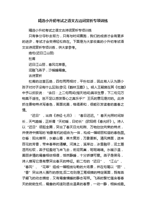 精选小升初考试之语文古诗词赏析专项训练