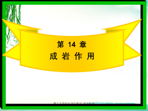 理工大学岩石学沉积岩-成岩作用