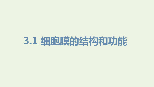 新教材高中生物第三章细胞的基本结构第一节细胞膜的结构和功能课件新人教版必修第一册