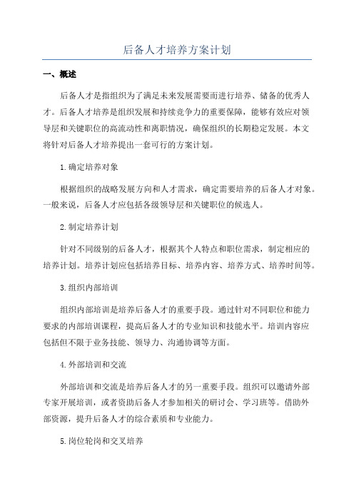 后备人才培养方案计划